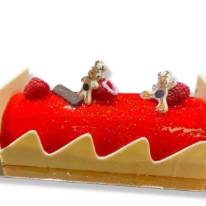 buche_passion_framboise